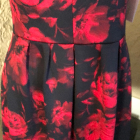 En Focus Studio dress - Picture 6 of 7